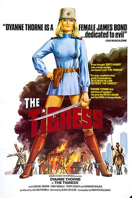 如何搭建seo优化网站